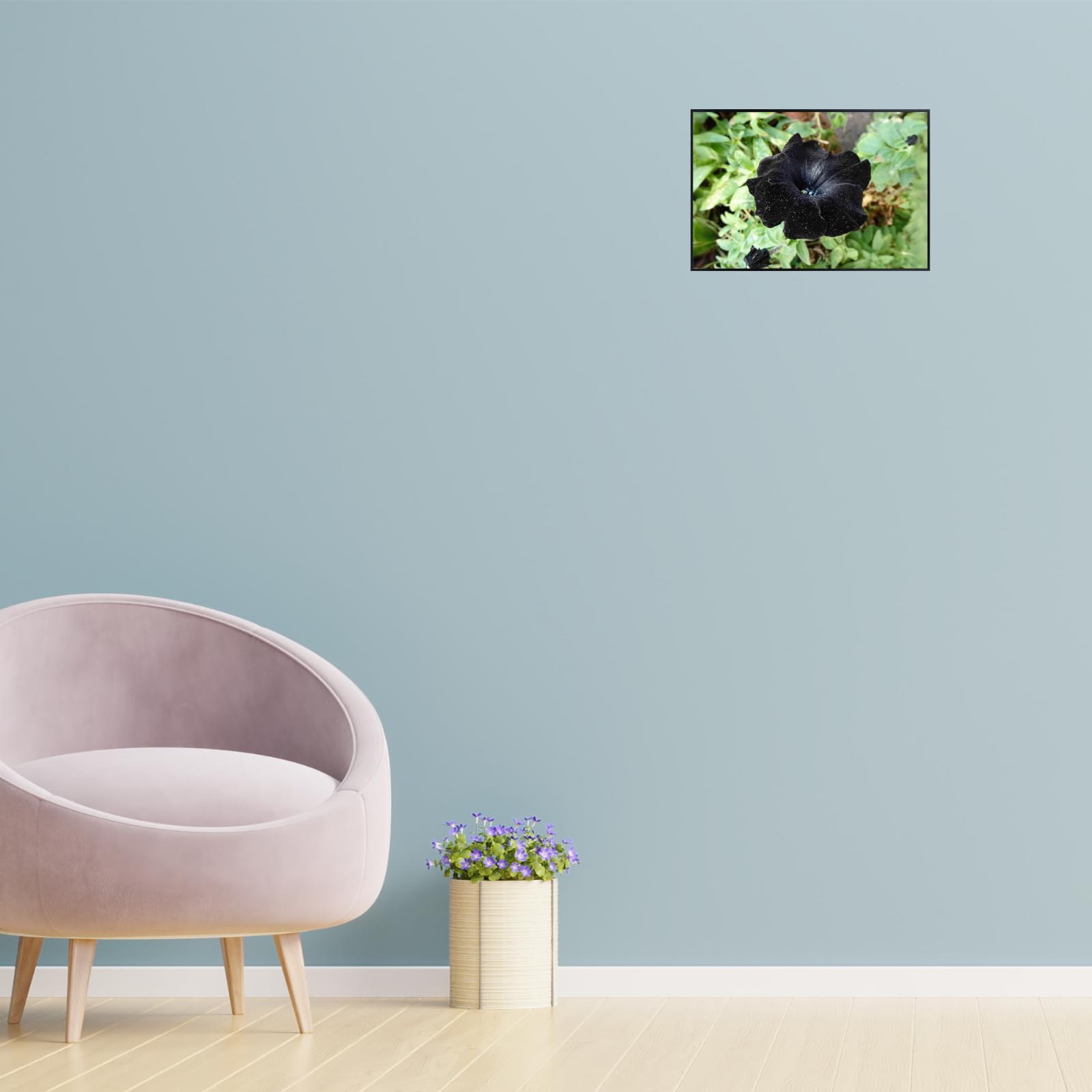 Petunia Black Velvet Wall Art Poster – Botanical Flower Print for Home Decor, Elegant Floral Artwork for Living Room, Bedroom, or Office – Nature-Inspired Art Print