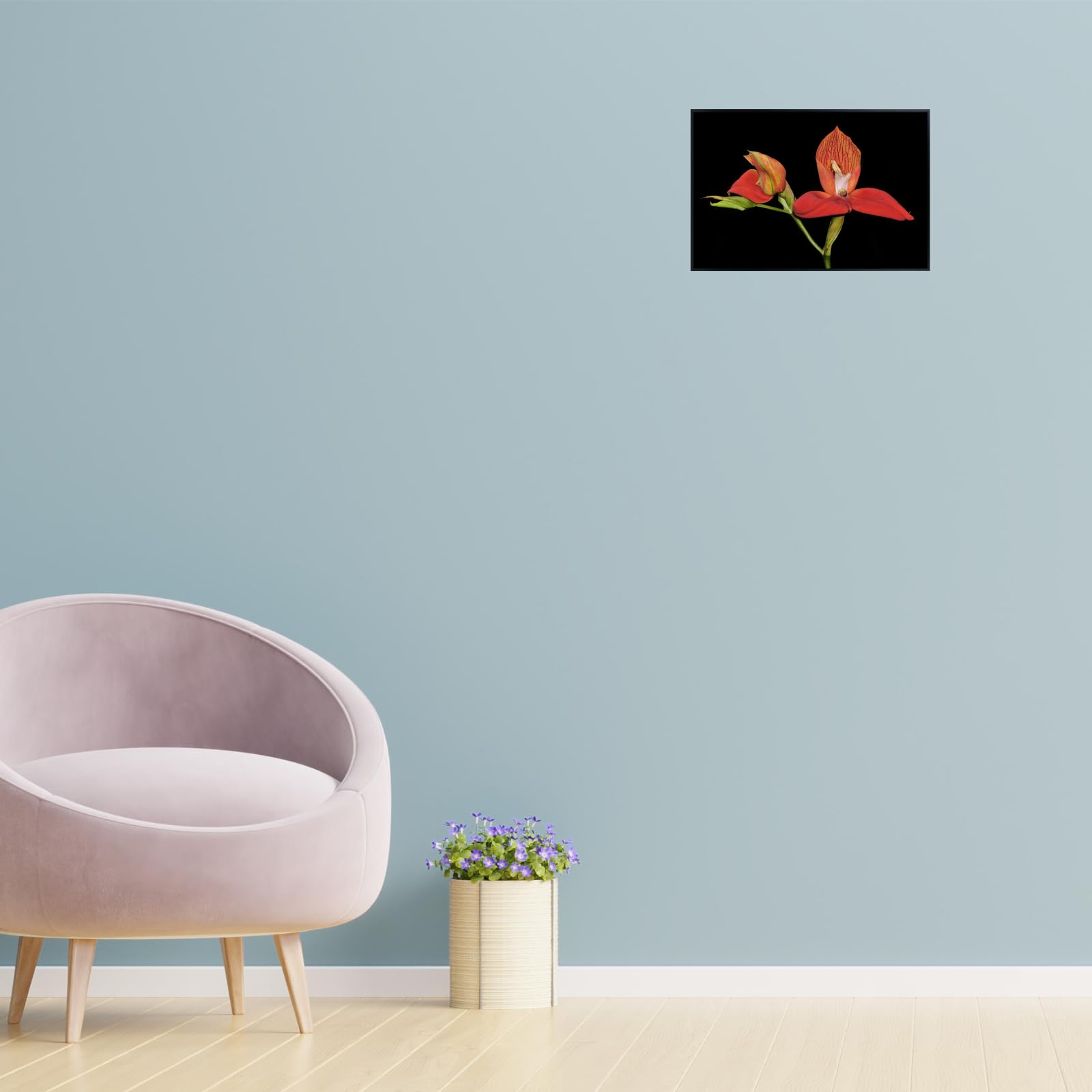 Disa Uniflora Wall Art Poster – Botanical Orchid Flower Print for Home Decor, Nature-Inspired Floral Artwork for Living Room, Bedroom, or Office – Elegant Botanical Poster