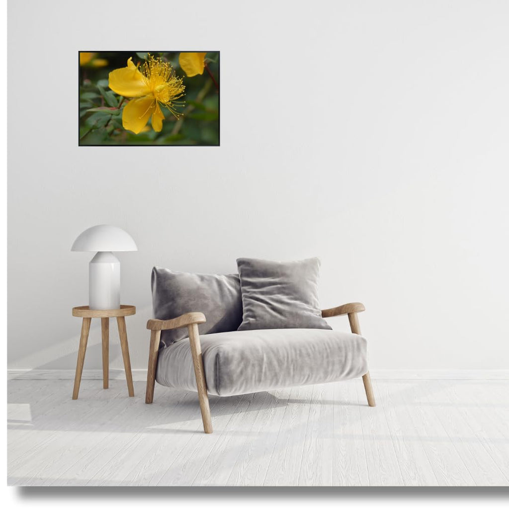 Rose of Sharon Wall Art Poster – Floral Home Decor, Botanical Print for Living Room, Bedroom, Office, or Nursery