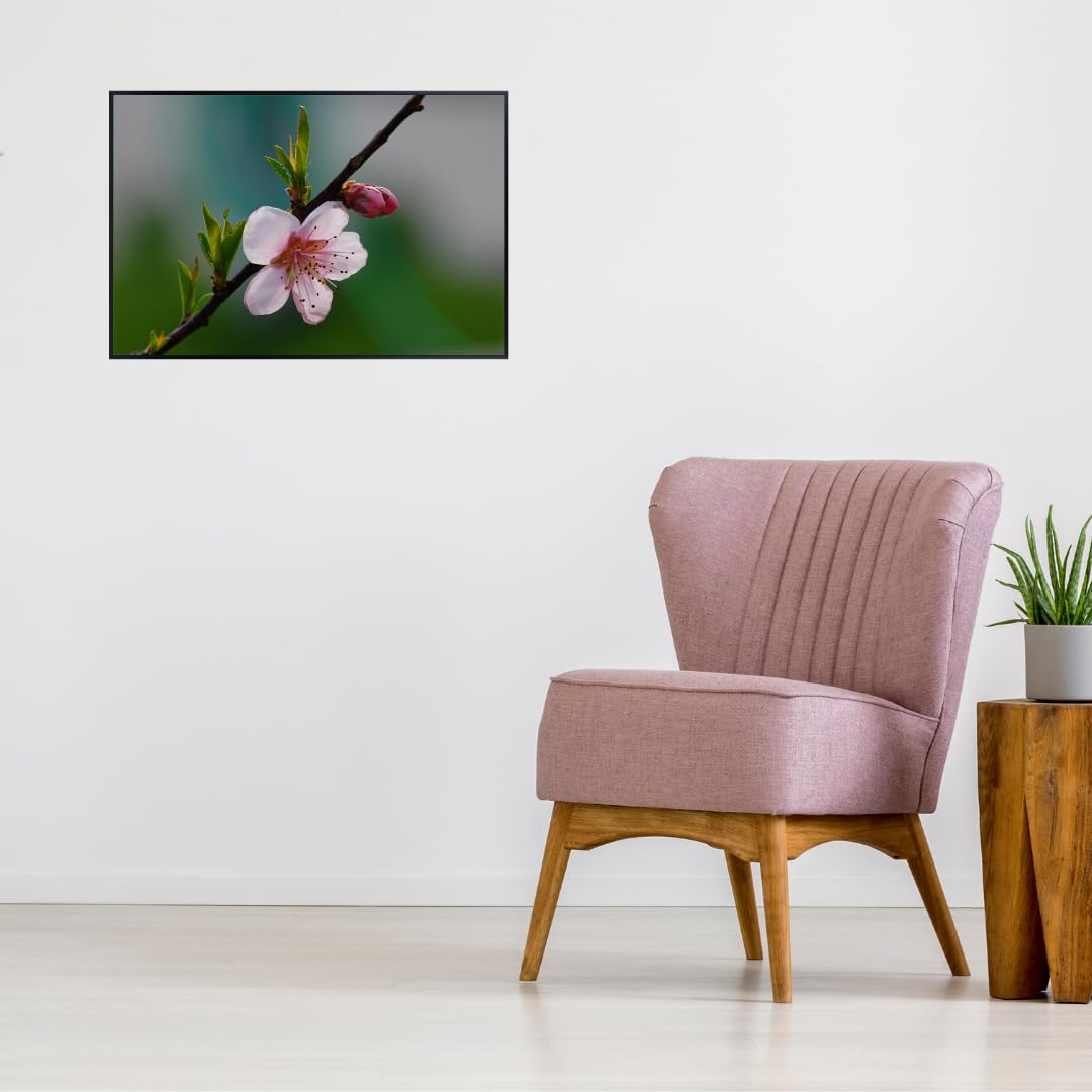 Peach Blossom Wall Art Poster – Botanical Flower Print for Home Decor, Nature-Inspired Floral Artwork for Living Room, Bedroom, or Office – Elegant Botanical Poster