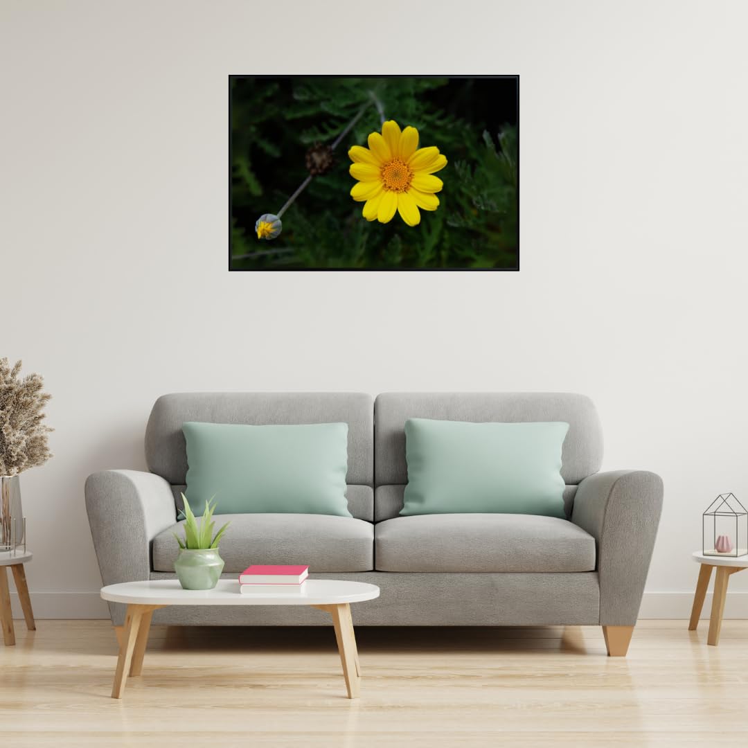 Yellow Chamomile Wall Art Poster – Golden Marguerite Botanical Print for Home Decor, Aesthetic Floral Artwork for Living Room, Bedroom, Office, Kitchen – Modern Nature Wall Art