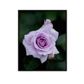 Rose Blue Bijou Wall Art Poster – Elegant Floral Home Decor Print for Living Room, Bedroom, Office
