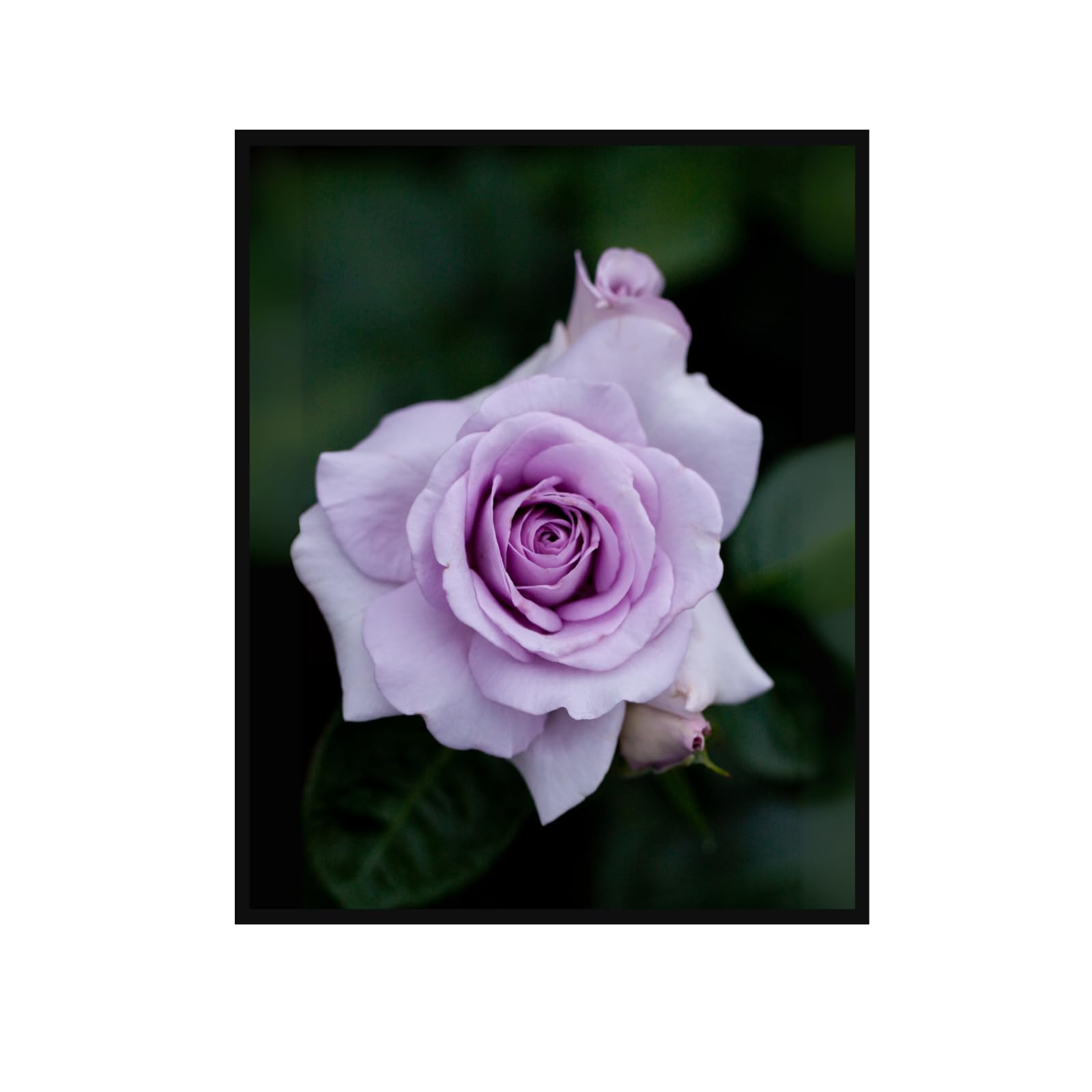 Rose Blue Bijou Wall Art Poster – Elegant Floral Home Decor Print for Living Room, Bedroom, Office