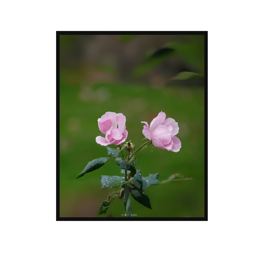 Pink Floribunda Rose Poster – Elegant Floral Wall Art for Home Decor, Botanical Print for Living Room, Bedroom & Office