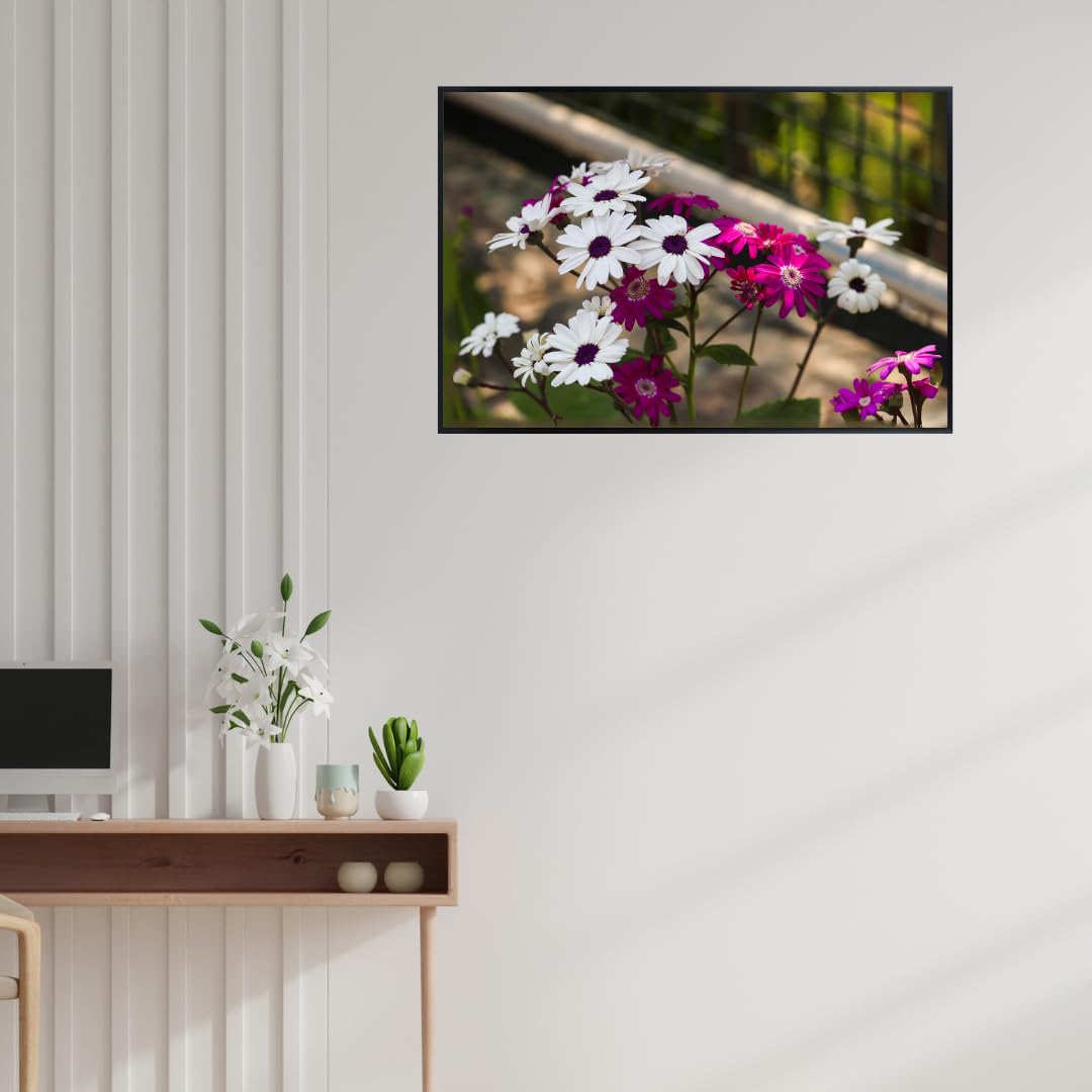 African Daisy Wall Art Poster – Botanical Flower Print for Home Decor, Aesthetic Floral Artwork, Nature-Inspired Room Decoration, Vibrant Botanical Wall Art for Living Room or Bedroom