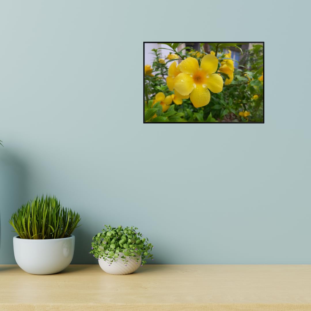 Yellow Allamanda Tropical Flower Wall Art – Golden Trumpet Botanical Poster for Home Decor, Living Room, Bedroom, or Office – Vibrant Tropical Plant Artwork Print