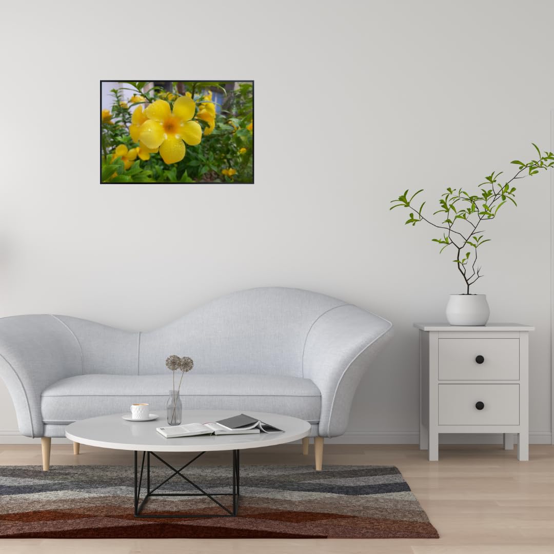 Yellow Allamanda Tropical Flower Wall Art – Golden Trumpet Botanical Poster for Home Decor, Living Room, Bedroom, or Office – Vibrant Tropical Plant Artwork Print