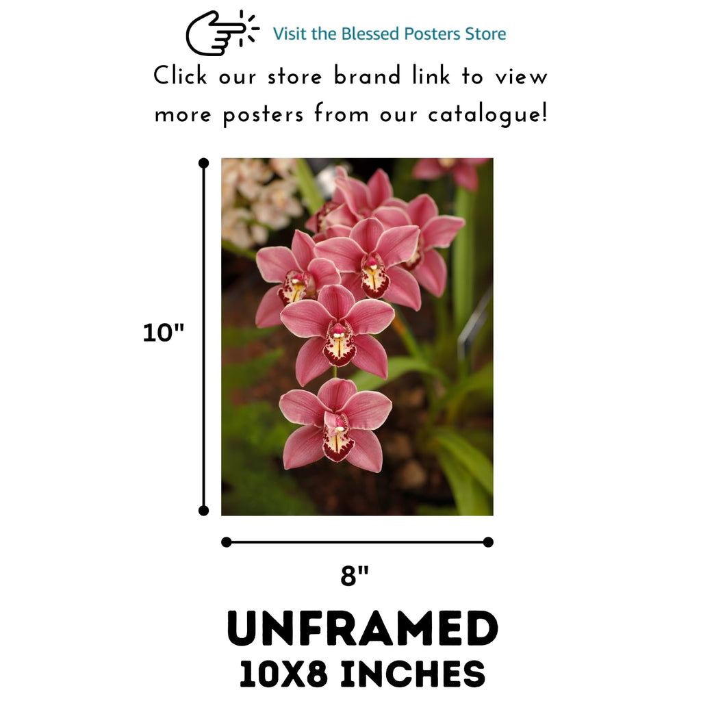 Orchid Poster Botanical Print Floral Wall Art for Living Room Home Decor