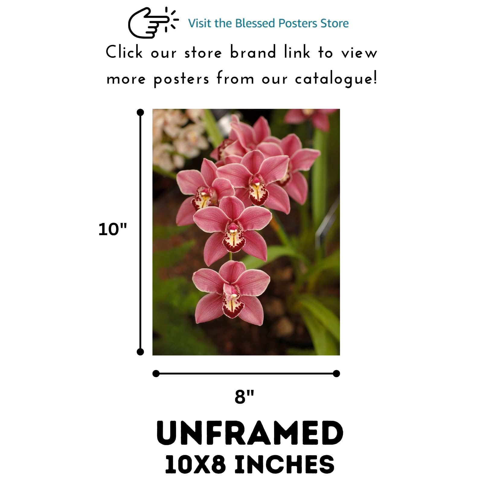 Orchid Poster Botanical Print Floral Wall Art for Living Room Home Decor