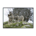 Signatus Wolf Artwork Poster – Nature Wildlife Wall Art Print for Bedroom, Living Room, Office, or Home Décor