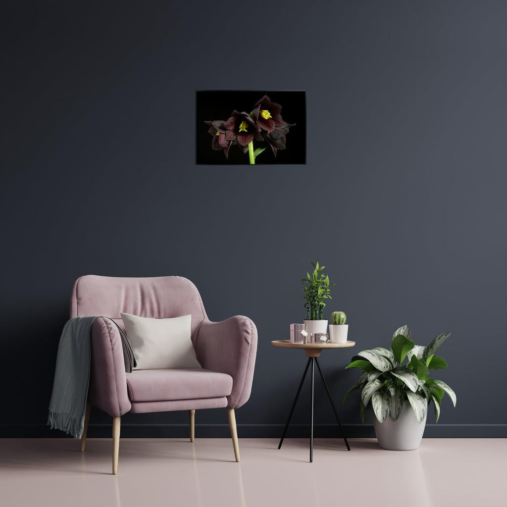 Fritillaria Camschatcensis Wall Art Poster – Botanical Flower Print for Home Decor, Nature-Inspired Floral Artwork for Living Room, Bedroom, or Office – Elegant Botanical Poster