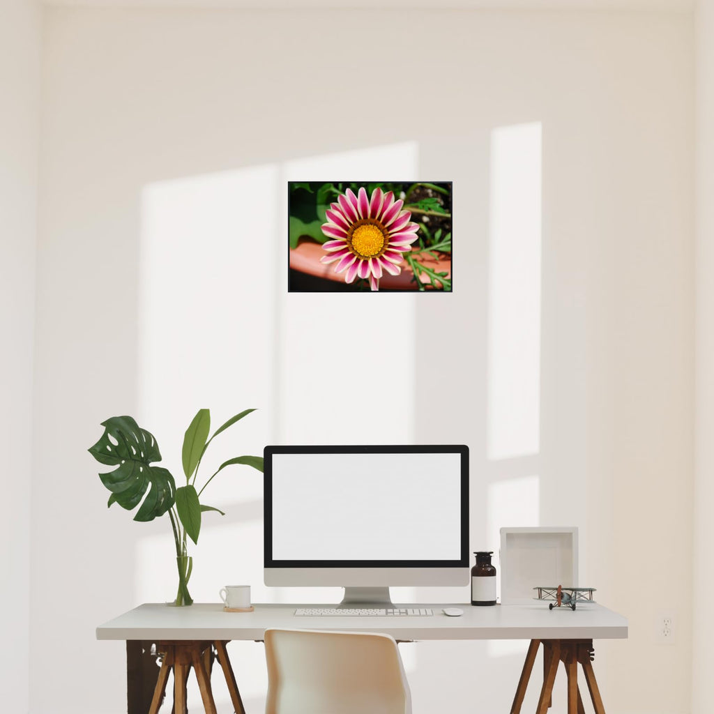 Pale White and Violet Tiger Gazania Flower Wall Art Poster – Botanical Floral Print for Home Decor, Living Room, Bedroom, Office – Aesthetic Nature Artwork