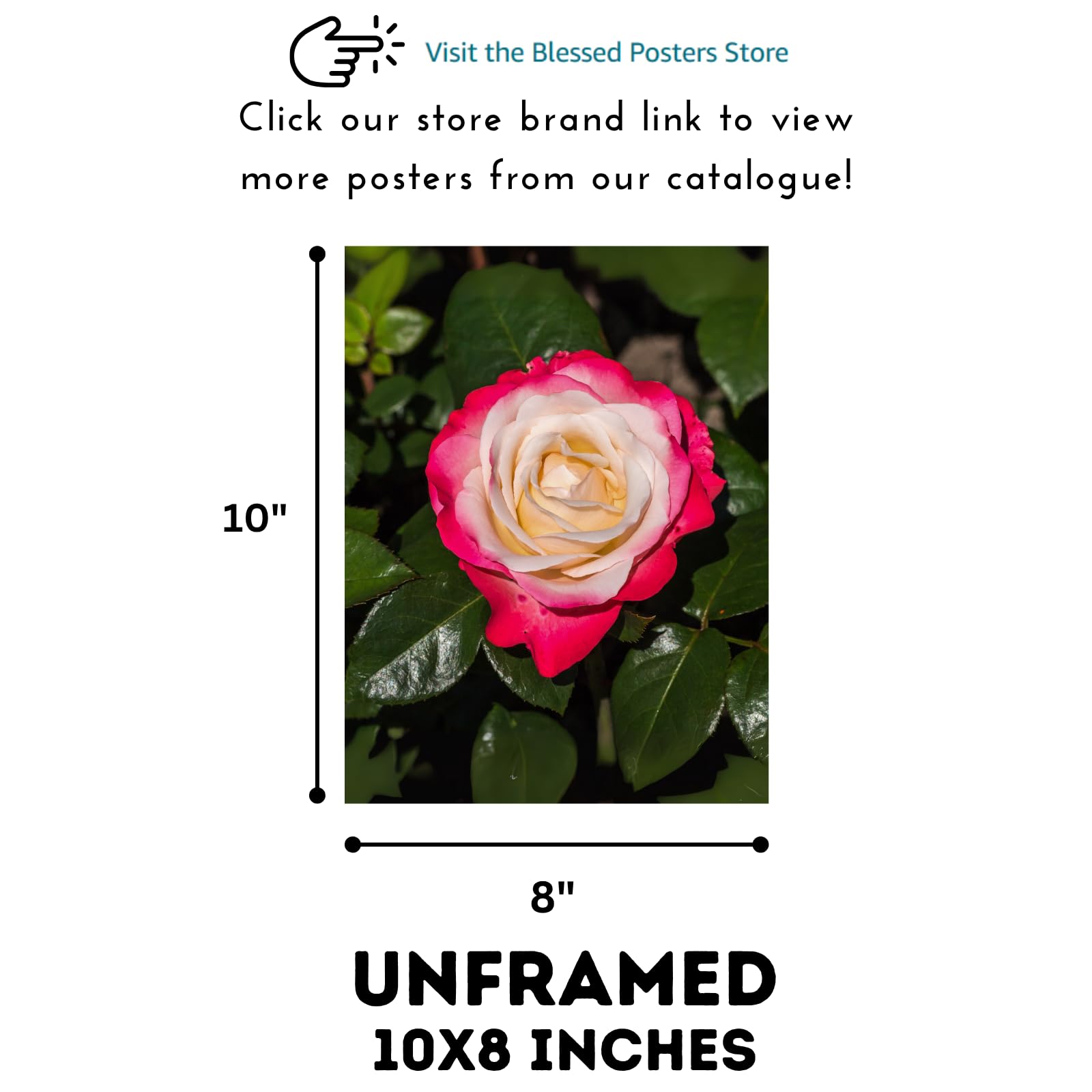 Nostalgie Hybrid Tea Rose Poster – Botanical Wall Art for Home Decor, Vintage Floral Print, Nature-Inspired Artwork for Living Room, Bedroom, Office Walls