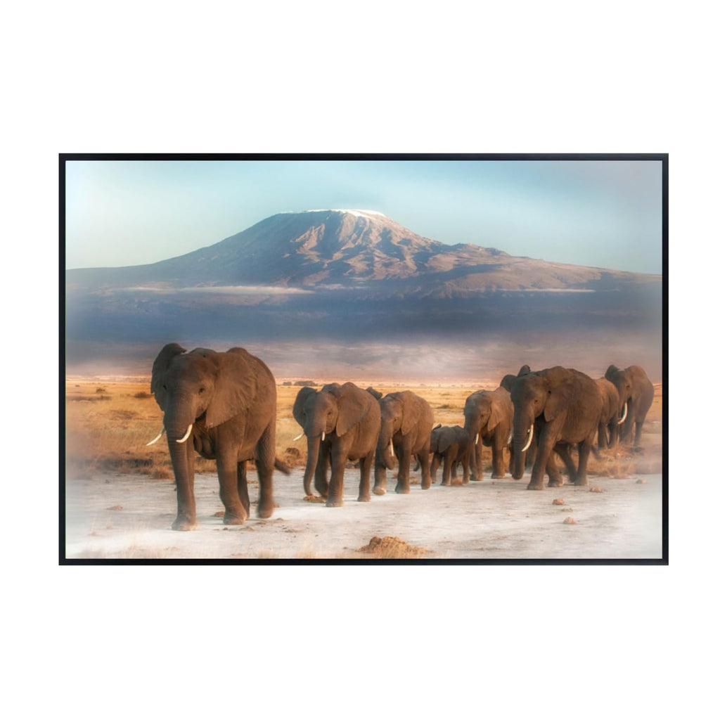 Elephant Wall Art Print – Kilimanjaro Safari Wildlife Poster for Living Room, Bedroom, or Office Décor