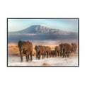 Elephant Wall Art Print – Kilimanjaro Safari Wildlife Poster for Living Room, Bedroom, or Office Décor