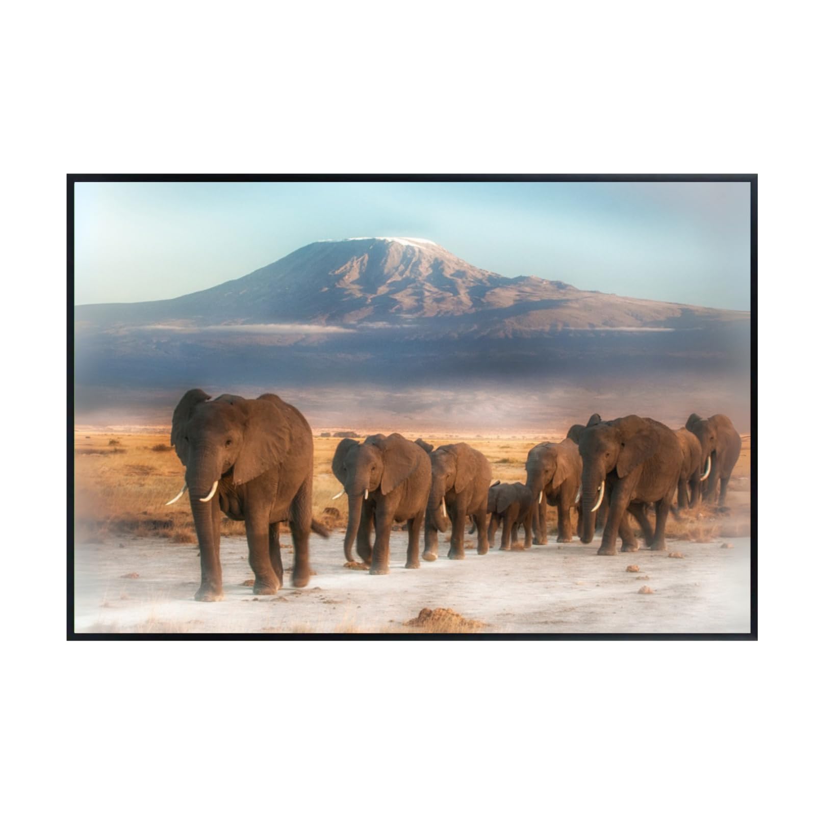 Elephant Wall Art Print – Kilimanjaro Safari Wildlife Poster for Living Room, Bedroom, or Office Décor