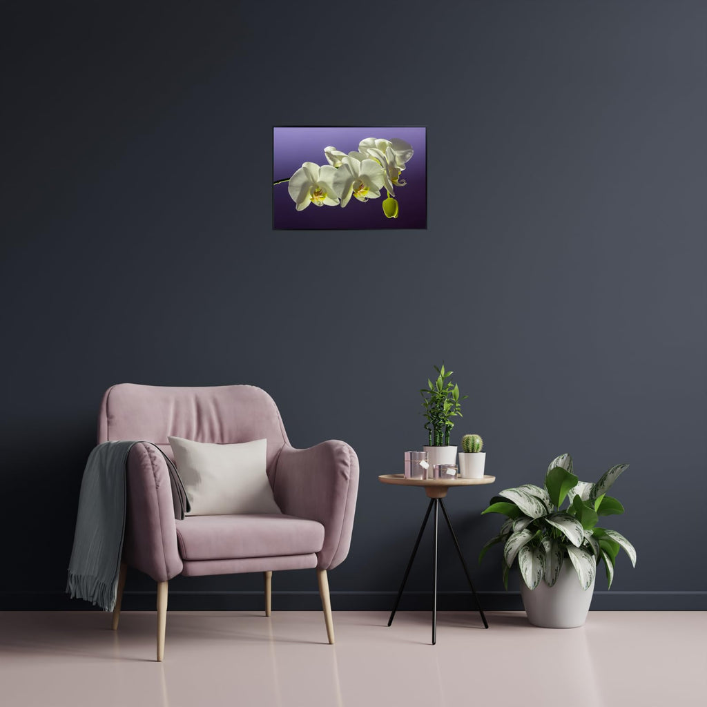 Elegant Phalaenopsis Orchid Wall Art Poster – Home Decor Botanical Print for Living Room, Bedroom, Office Wall Decor
