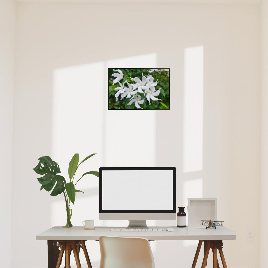 White Japanese Jasmine Wall Art Poster – Botanical Print for Home Decor, Living Room, Bedroom, Office, Modern Nature Artwork
