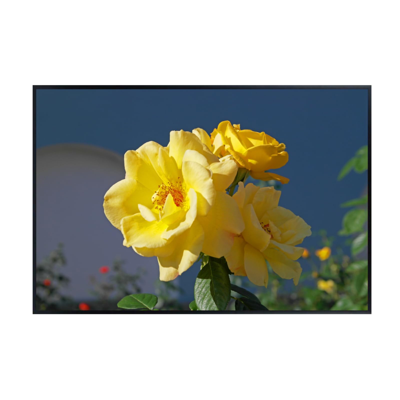 Yellow Rose Poster Botanical Print Floral Wall Art for Living Room Home Decor