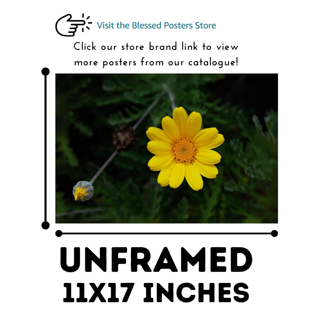 Yellow Chamomile Wall Art Poster – Golden Marguerite Botanical Print for Home Decor, Aesthetic Floral Artwork for Living Room, Bedroom, Office, Kitchen – Modern Nature Wall Art
