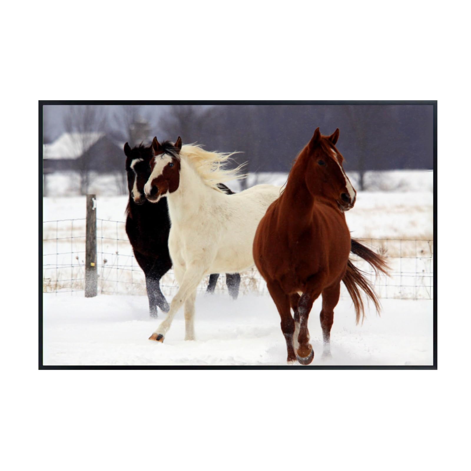 Wildlife Wall Art – Carlton Horses Poster Print for Bedroom, Living Room, Office, or Study Décor