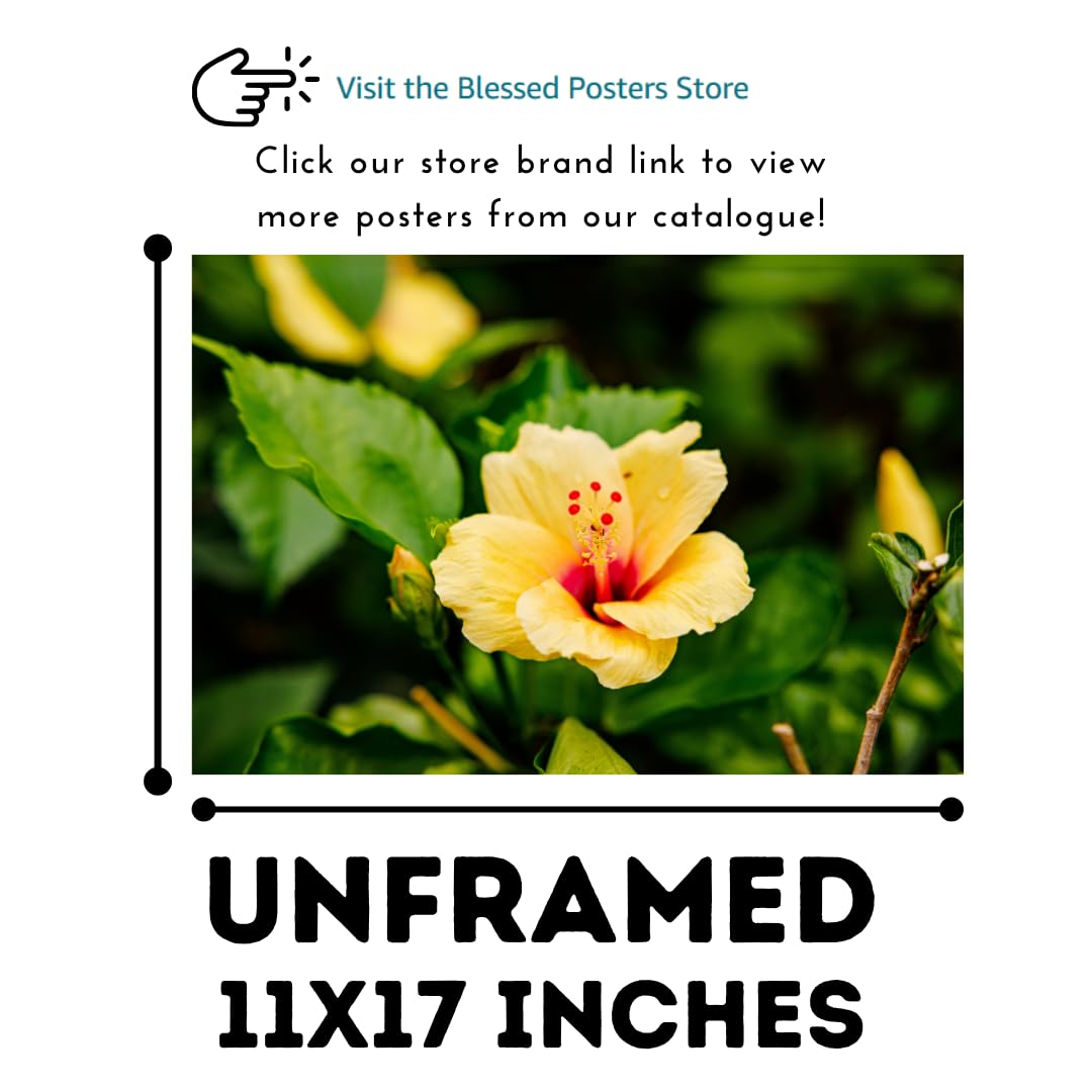 Hibiscus Rosa-Sinensis Wall Art Poster – Home Decor Floral Print for Living Room, Bedroom, Office Wall Decor