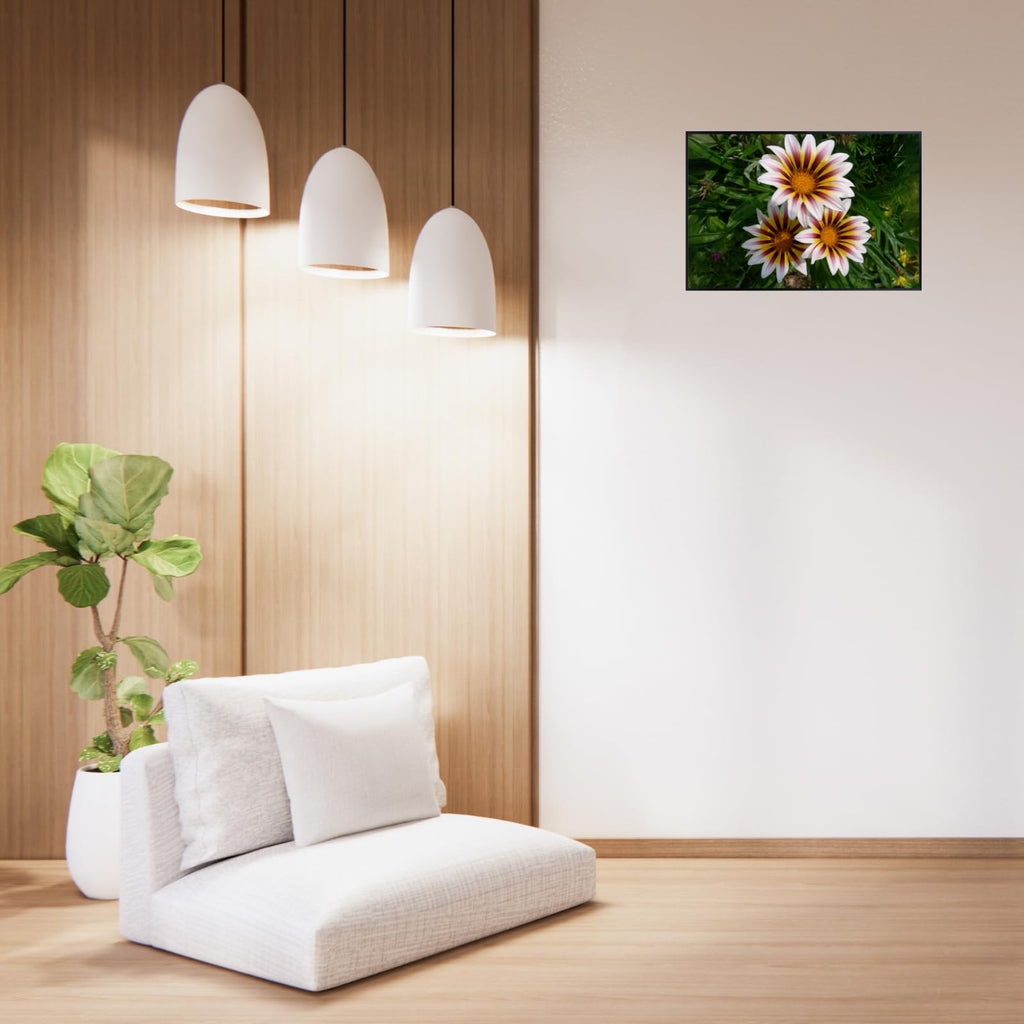 Gazania Flower Poster Treasure Flower Print Botanical Wall Art for Living Room Home Decor