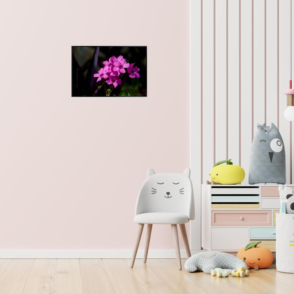 Pink-Sorrel Flower Poster – Oxalis Articulata Botanical Wall Art Print for Home Decor, Living Room, Bedroom, or Office – Elegant Floral Nature Artwork