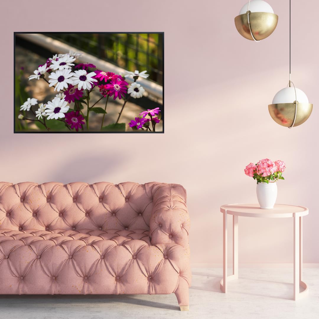 African Daisy Wall Art Poster – Botanical Flower Print for Home Decor, Aesthetic Floral Artwork, Nature-Inspired Room Decoration, Vibrant Botanical Wall Art for Living Room or Bedroom