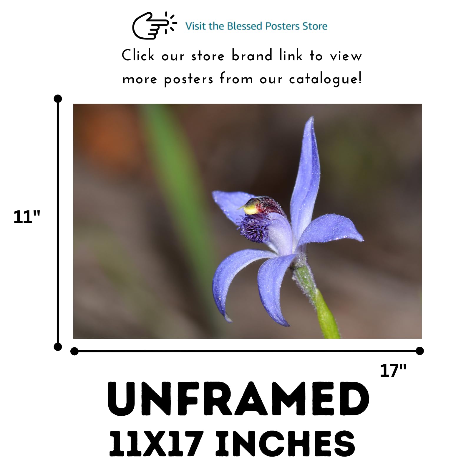 Blue Fairy Orchid Wall Art Poster – Home Décor Botanical Print for Living Room, Bedroom, Office Wall Decor