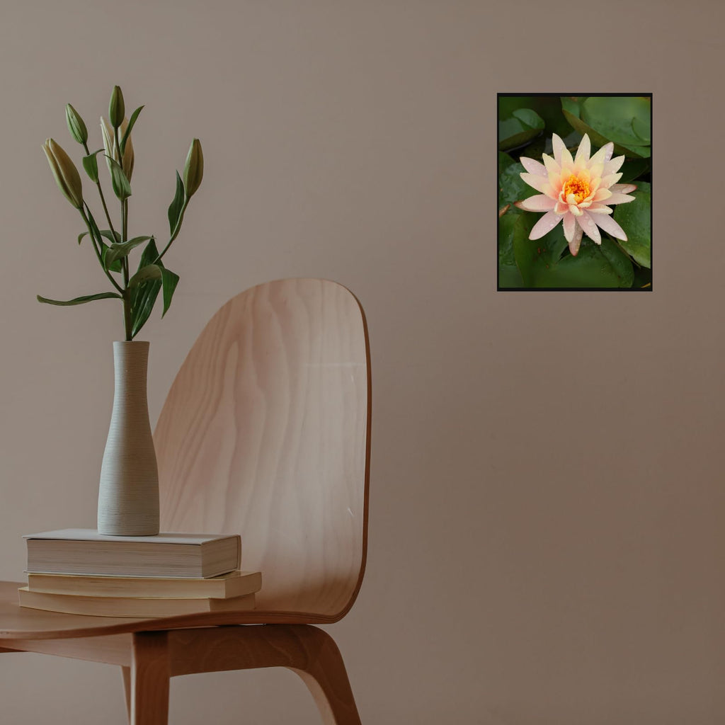 Nymphaea Tetragona Botanical Wall Art Poster – Water Lily Illustration for Home Decor, Floral Print Picture for Living Room