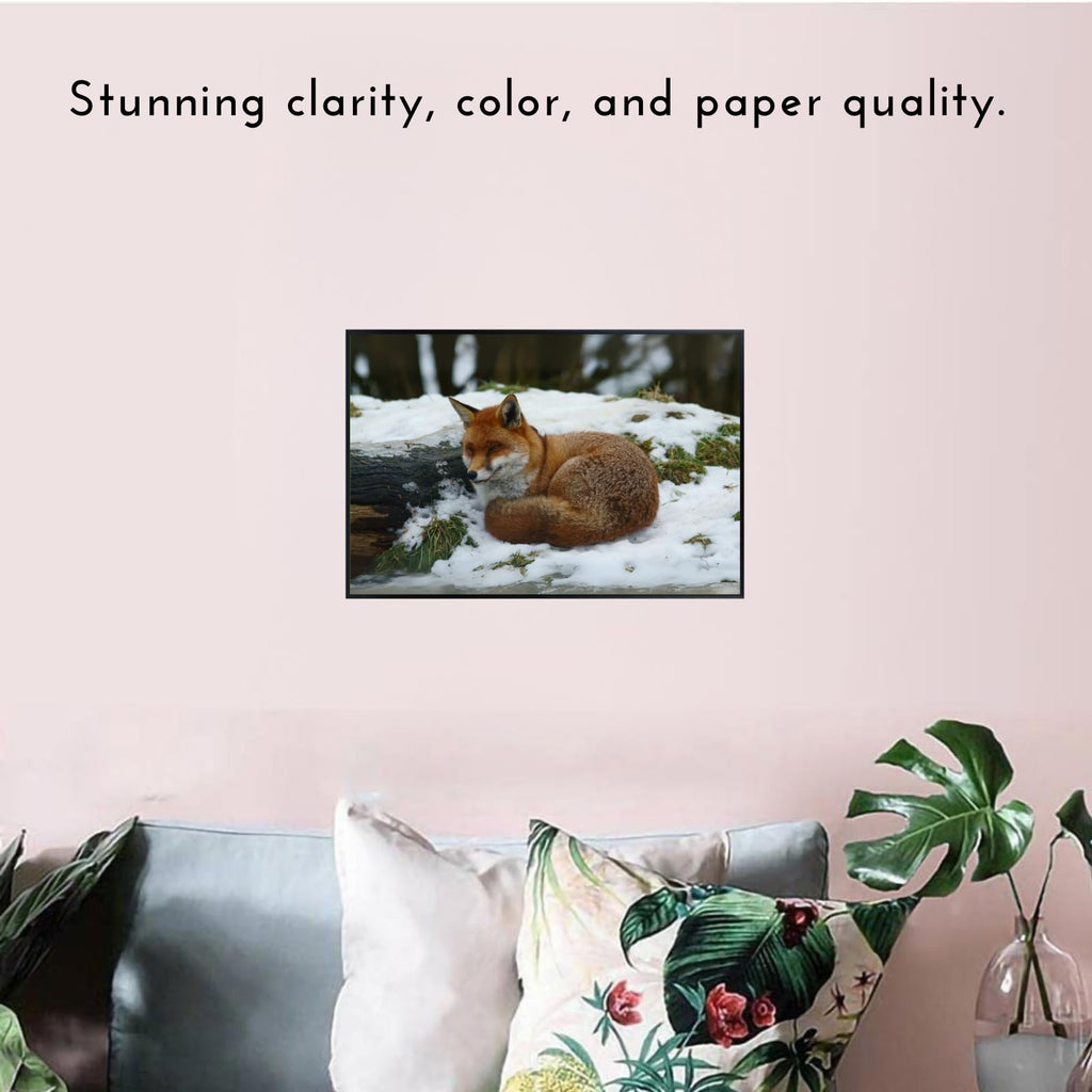 Snow Fox Poster – Wildlife Nature Wall Art Print for Bedroom, Living Room, Office, or Study Décor