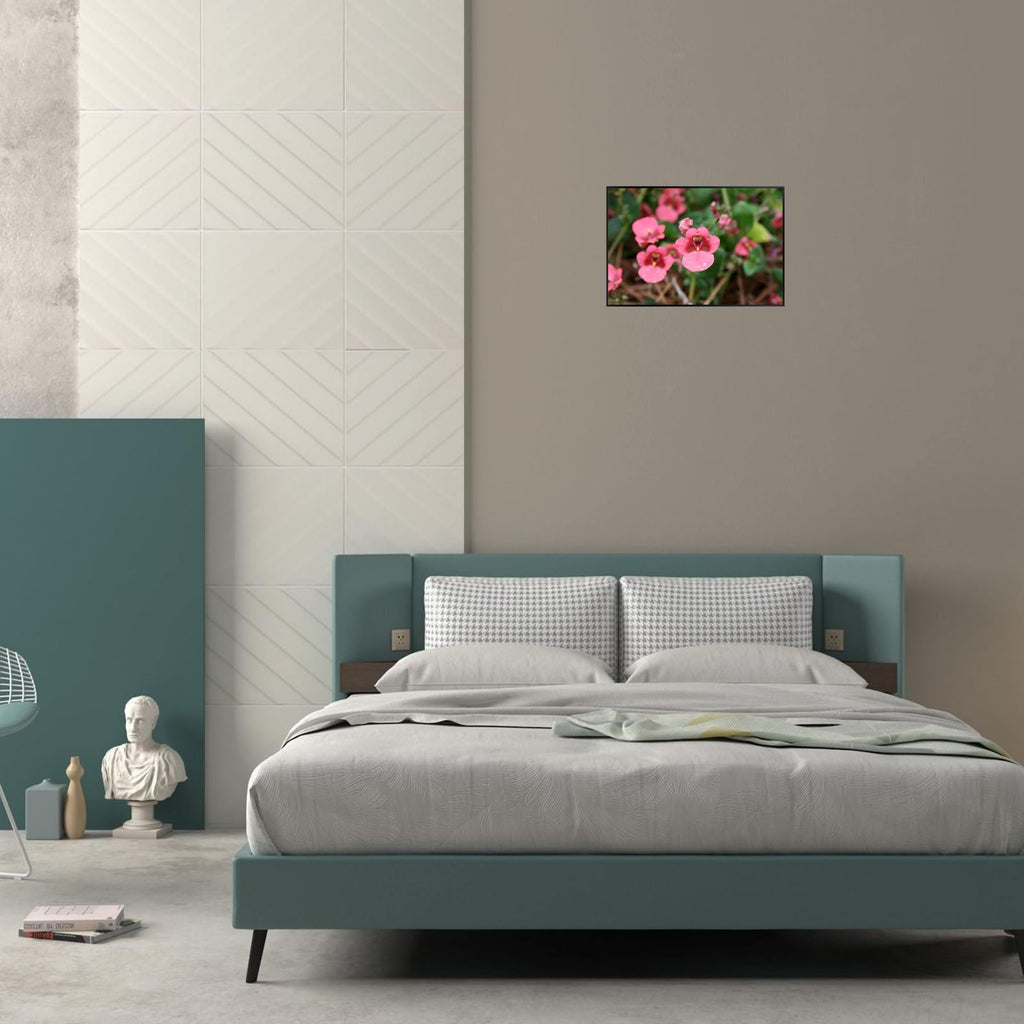 Diascia Barberae Ruby Field Poster – Floral Wall Art for Home Decor, Botanical Flower Print, Bedroom & Living Room Wall Decor