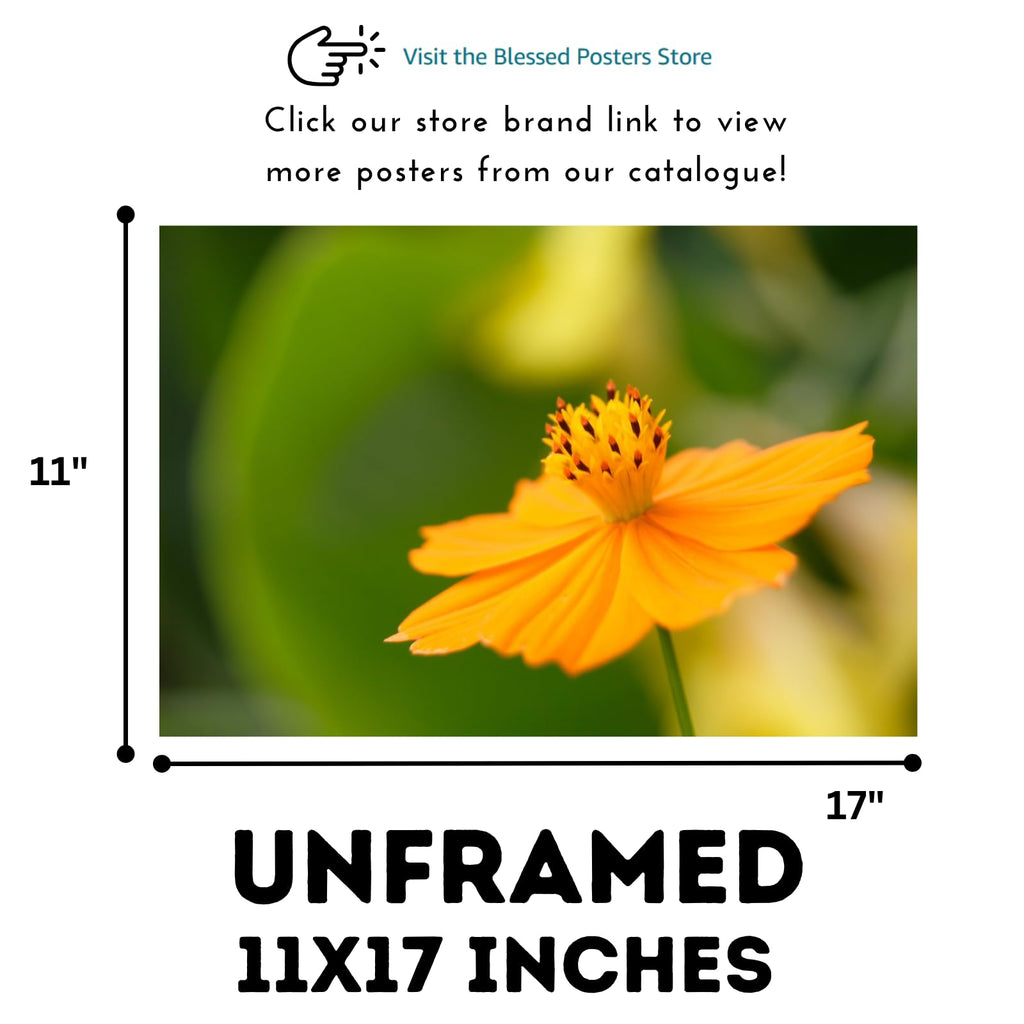 Elegant Sulfur Cosmos Flower Wall Art Poster – Home Decor Botanical Print for Living Room, Bedroom, Office Wall Decor