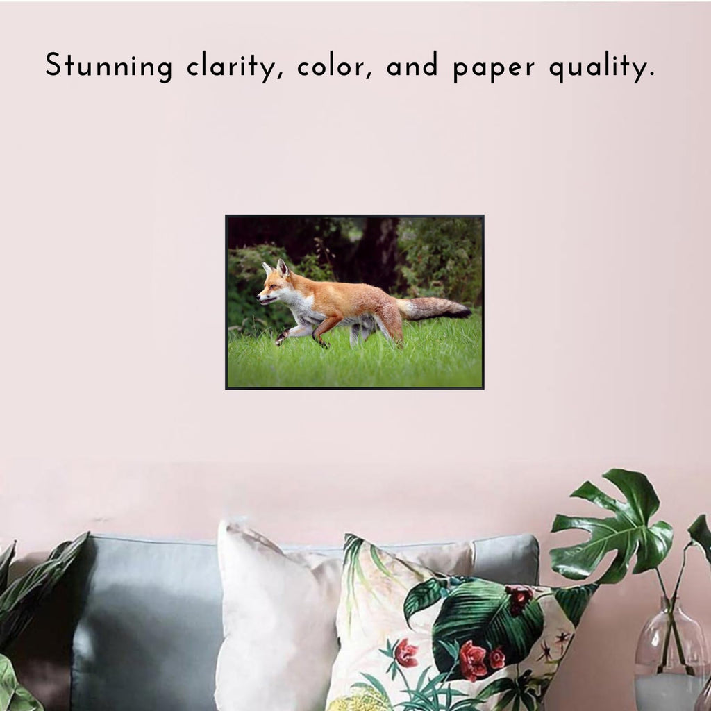 Trot Fox Artwork Poster – Wilderness Nature Wall Art Print for Home decor, Office, Bedroom, or Study Spaces
