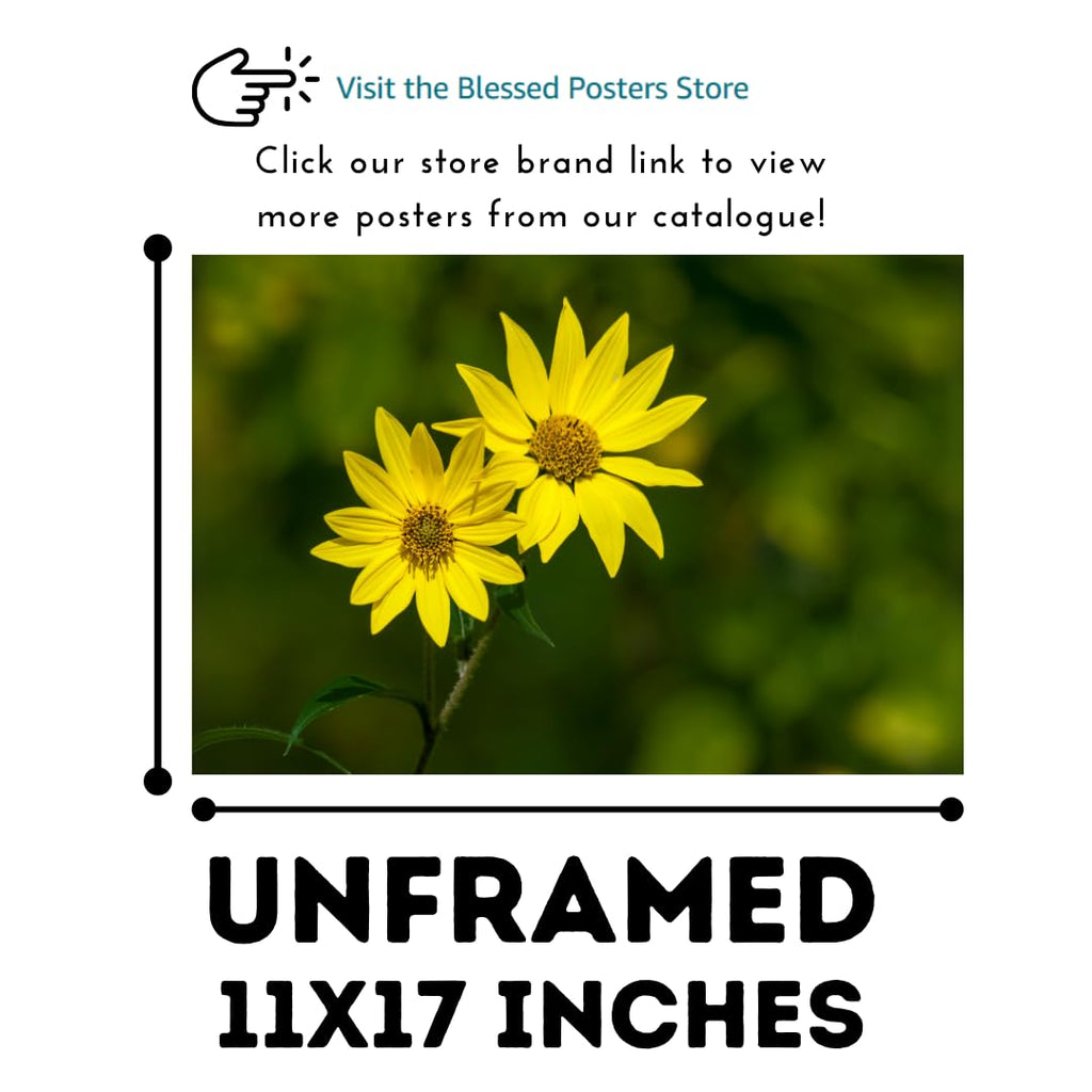 Yellow Daisy Wall Art Poster – Bright Flower Home Decor, Botanical Print for Living Room, Bedroom, Office, Nature Artwork, Modern Aesthetic Poster