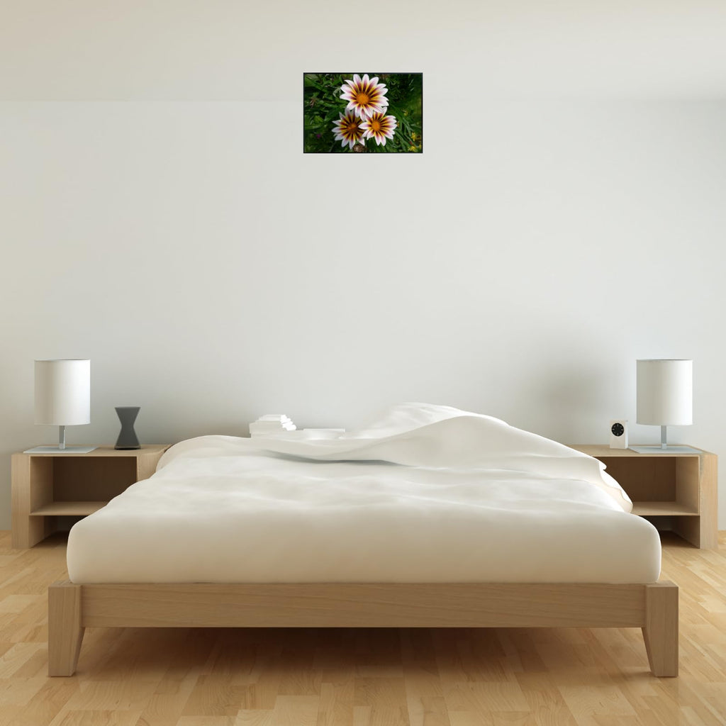 Gazania Flower Poster Treasure Flower Print Botanical Wall Art for Living Room Home Decor