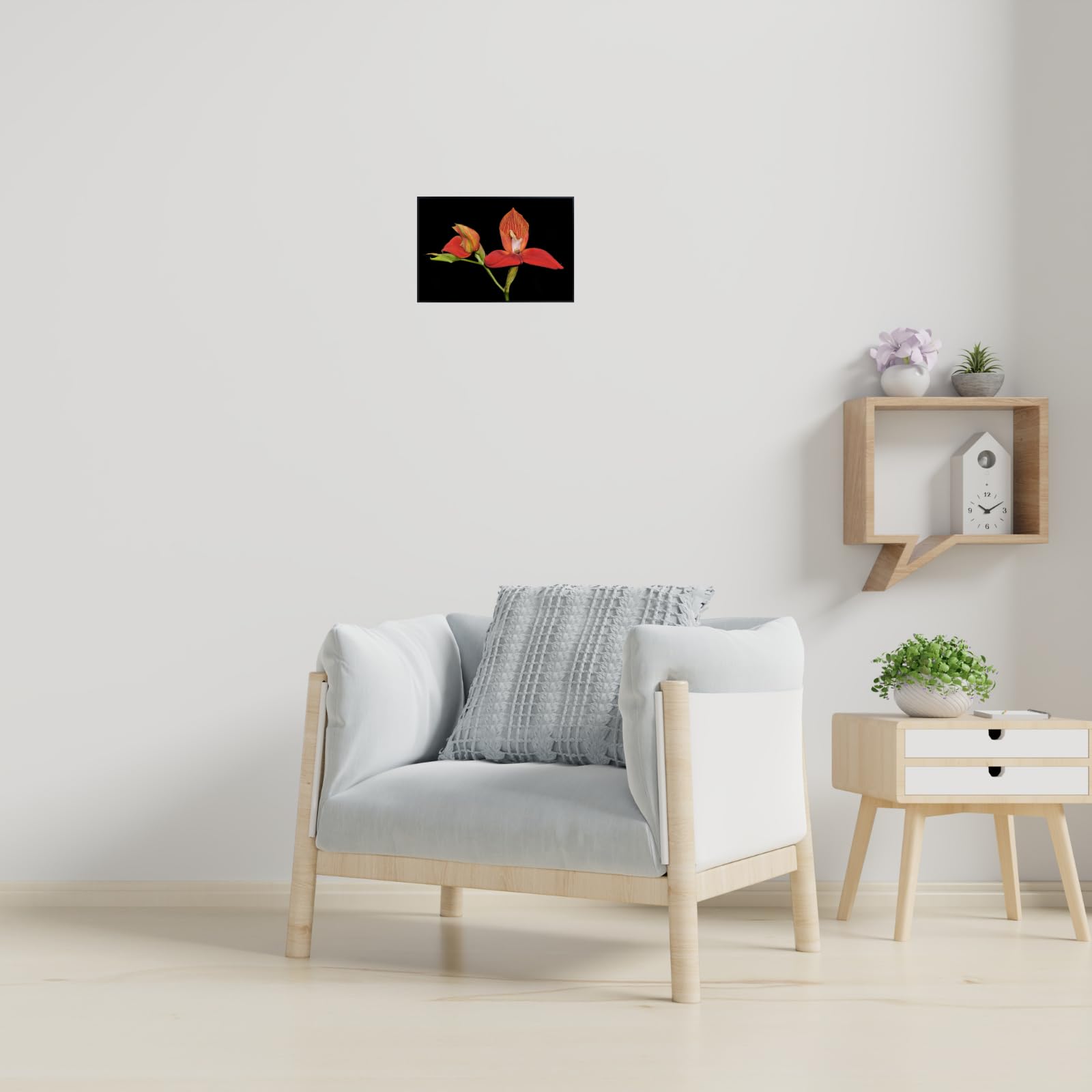 Disa Uniflora Wall Art Poster – Botanical Orchid Flower Print for Home Decor, Nature-Inspired Floral Artwork for Living Room, Bedroom, or Office – Elegant Botanical Poster