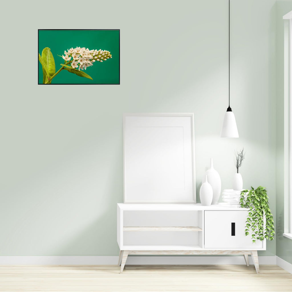 Lysimachia Clethroides Poster – Botanical Wall Art Print for Home Decor, Living Room, Bedroom, or Office – Elegant Floral Nature Artwork