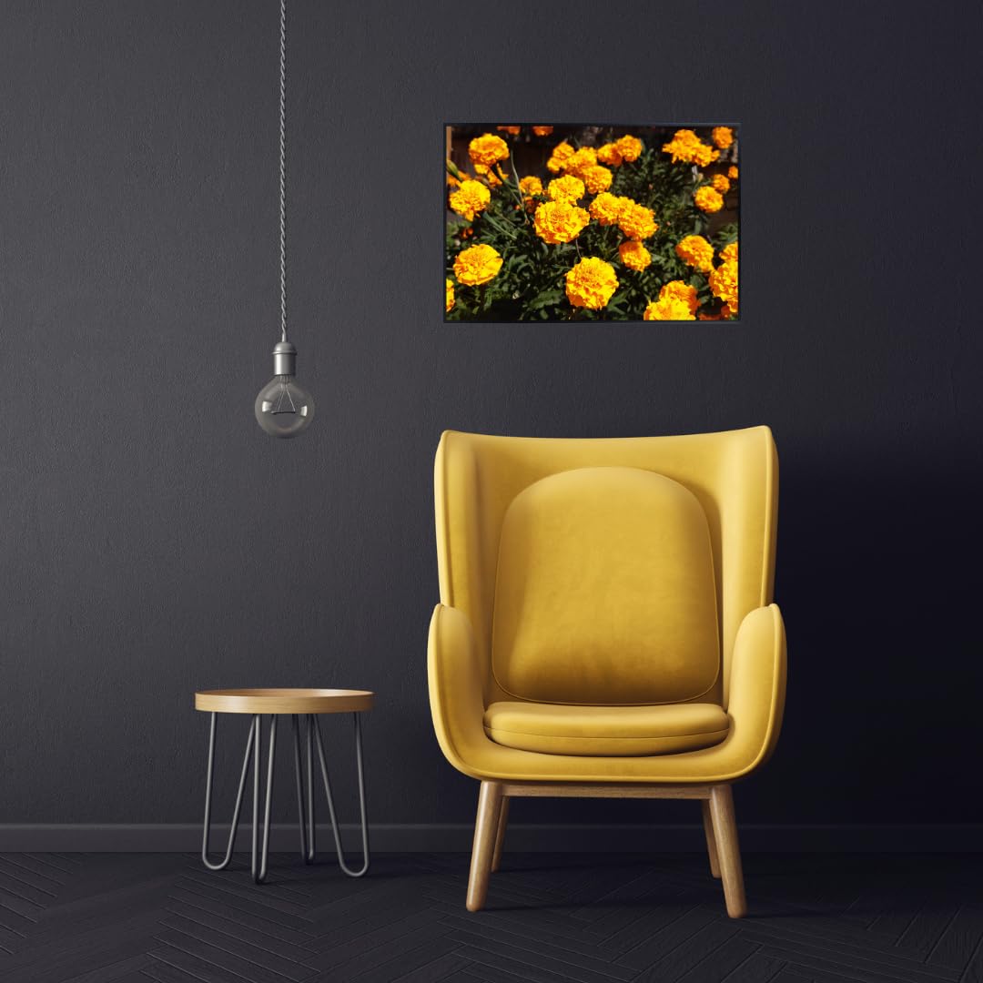 Tagetes Marigold Wall Art Poster – Vibrant Botanical Flower Print for Living Room, Bedroom, or Office – Modern Nature Home Decor Poster for Plant Lovers