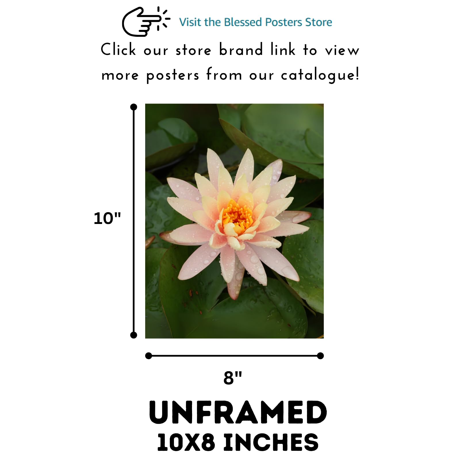 Nymphaea Tetragona Botanical Wall Art Poster – Water Lily Illustration for Home Decor, Floral Print Picture for Living Room