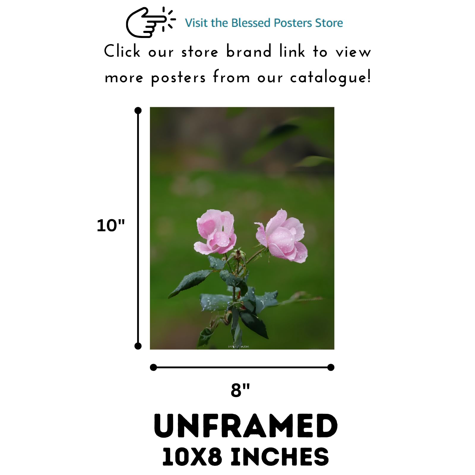 Pink Floribunda Rose Poster – Elegant Floral Wall Art for Home Decor, Botanical Print for Living Room, Bedroom & Office