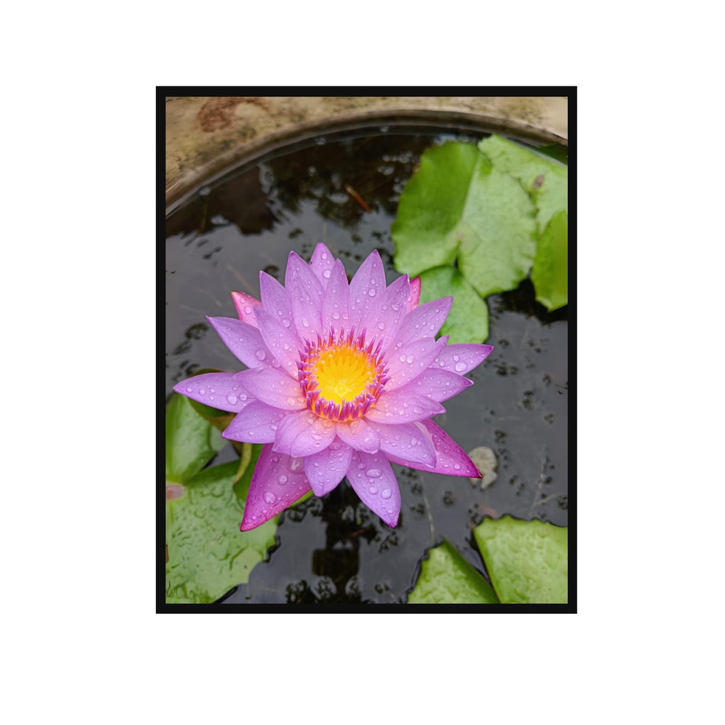 Lotus Flower Wall Art Poster – Serene Botanical Home Decor Print for Living Room, Bedroom, Office, Yoga or Meditation Space