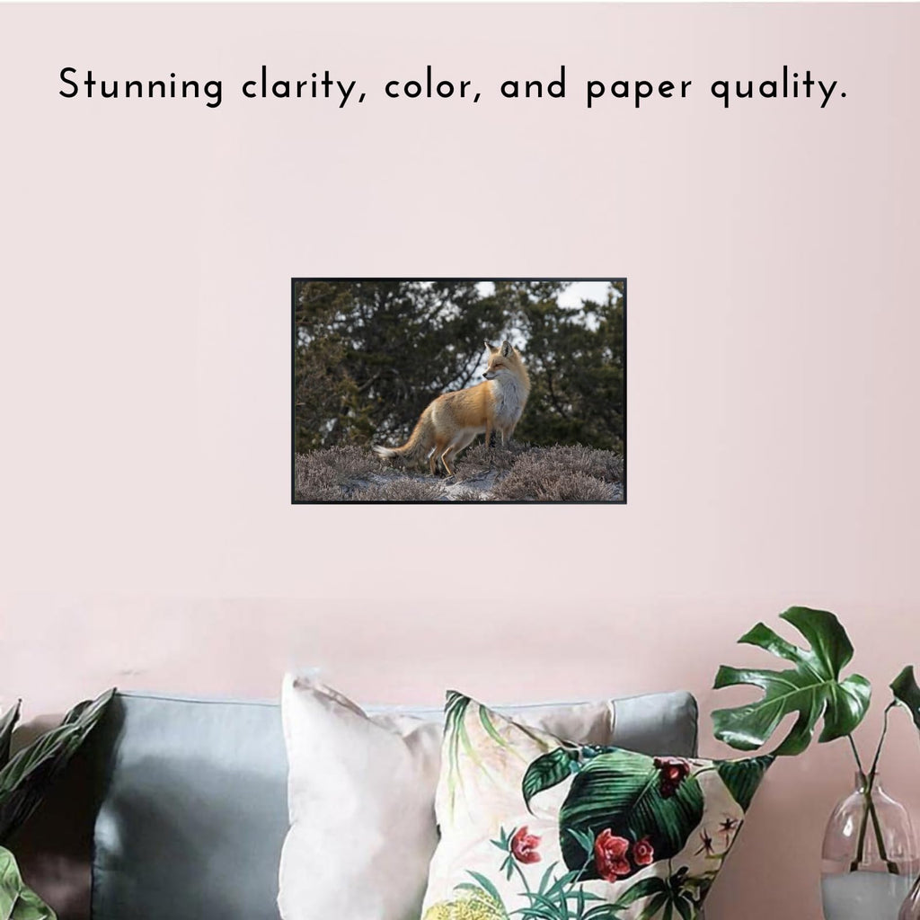Red Fox Wall Art – Rustic Wildlife Poster Print for Living Room, Bedroom, Office, or Study Décor