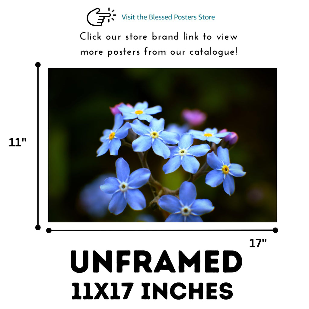 Myosotis Poster – Floral Wall Art for Home Decor, Botanical Flower Print, Bedroom & Living Room Wall Decor