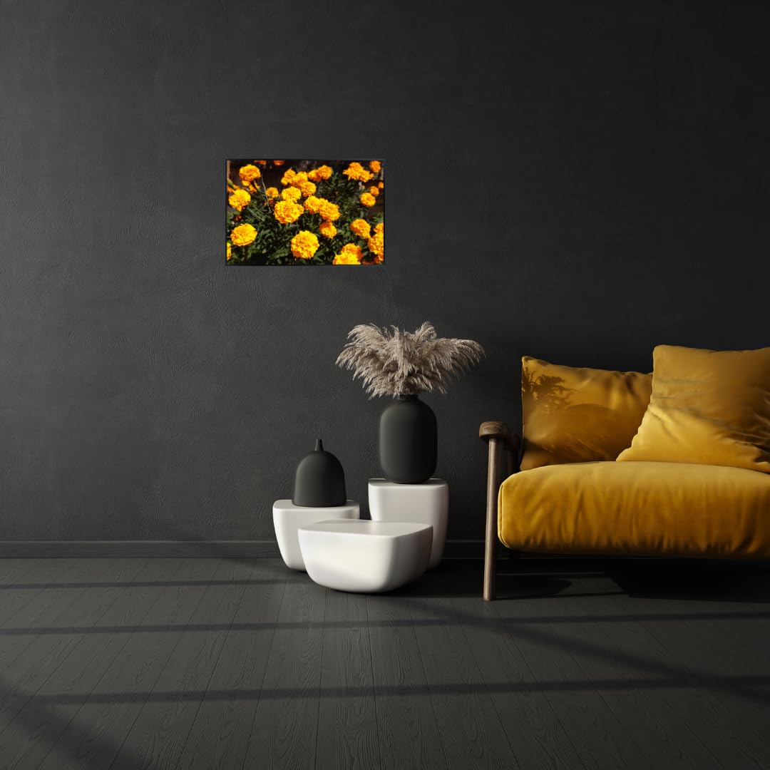Tagetes Marigold Wall Art Poster – Vibrant Botanical Flower Print for Living Room, Bedroom, or Office – Modern Nature Home Decor Poster for Plant Lovers