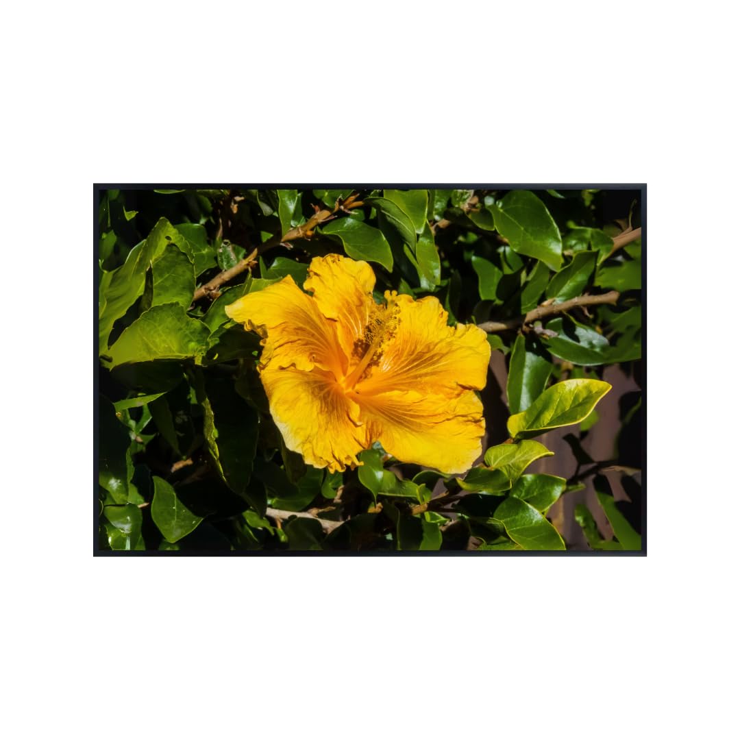 Hibiscus Golden Yellow Wall Art Poster – Tropical Flower Home Decor, Botanical Plant Print, Nature-Inspired Bedroom & Living Room Artwork