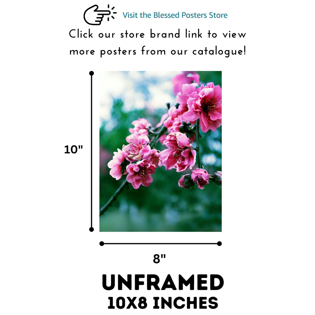 Peach Blossom Wall Art Poster for Home Decor – Botanical Floral Print for Living Room, Bedroom, Office Decoration