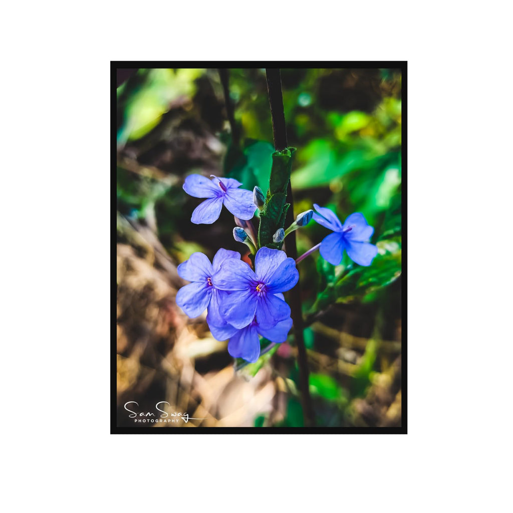 Blue Flower Wall Art Poster – Botanical Blossom Home Decor Print – Nature Artwork for Living Room, Bedroom, OfficeBlue Flower Wall Art Poster – Botanical Blossom Home Decor Print – Nature Artwork for Living Room, Bedroom, Office