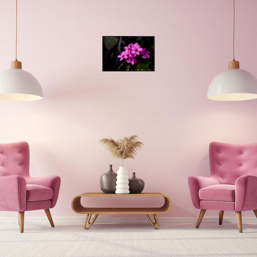 Pink-Sorrel Flower Poster – Oxalis Articulata Botanical Wall Art Print for Home Decor, Living Room, Bedroom, or Office – Elegant Floral Nature Artwork